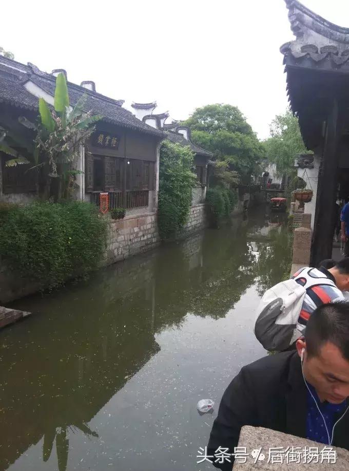 江南古镇简介,枫泾古镇一日游攻略