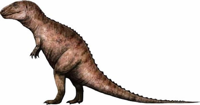 侏罗纪公园有多少只迅猛龙,侏罗纪系列迅猛龙进化史