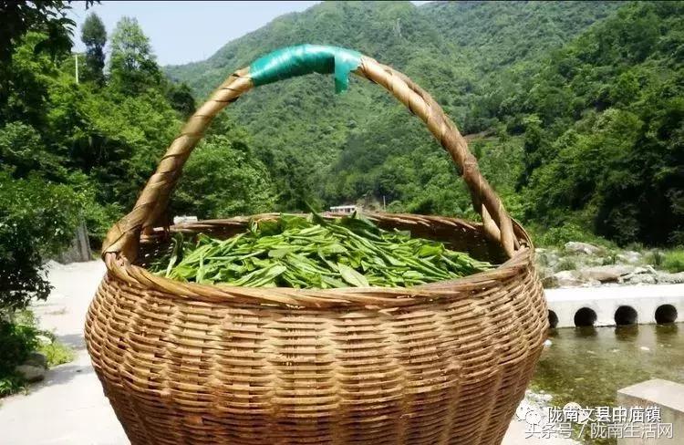 「白马情·天池美」脱贫攻坚战中崛起的木家坝村