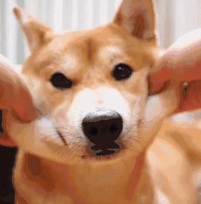 一瓣蒜，吃出7种健康！按照这5个“公式”，补肾活血，养肝护胃