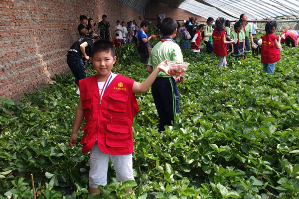 东北网小记者*震王**燚：参加“情暖童心”希望工程爱心午餐项目启动仪式有感