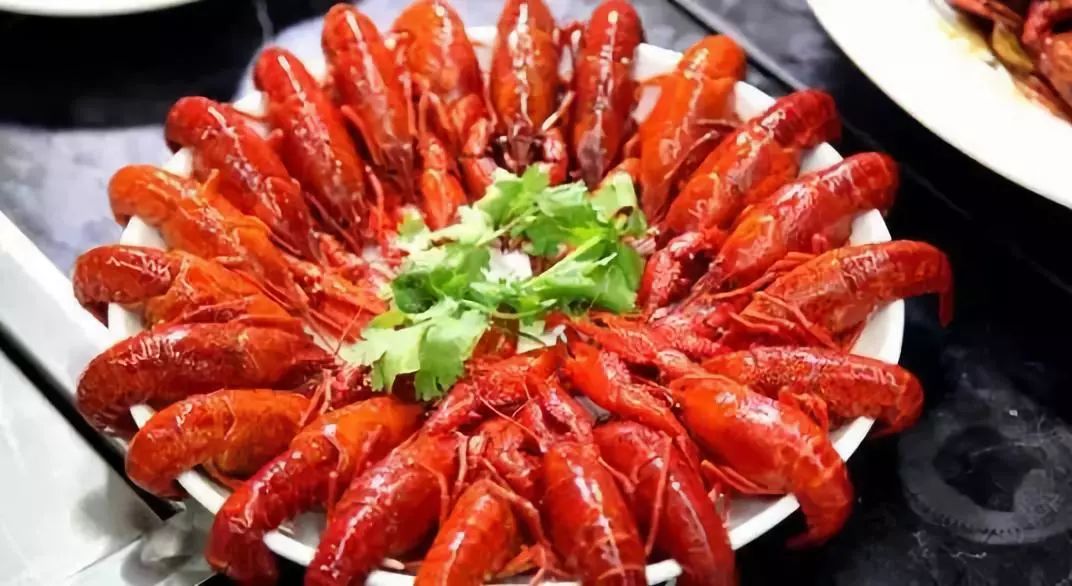 “仲夏欢乐汇”清爽一夏，俄罗斯传奇大马戏震撼来袭！