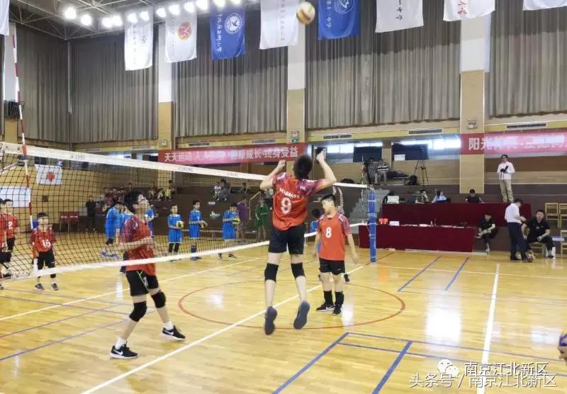 这个六月,看新区这群娃娃挥汗如雨战金陵!