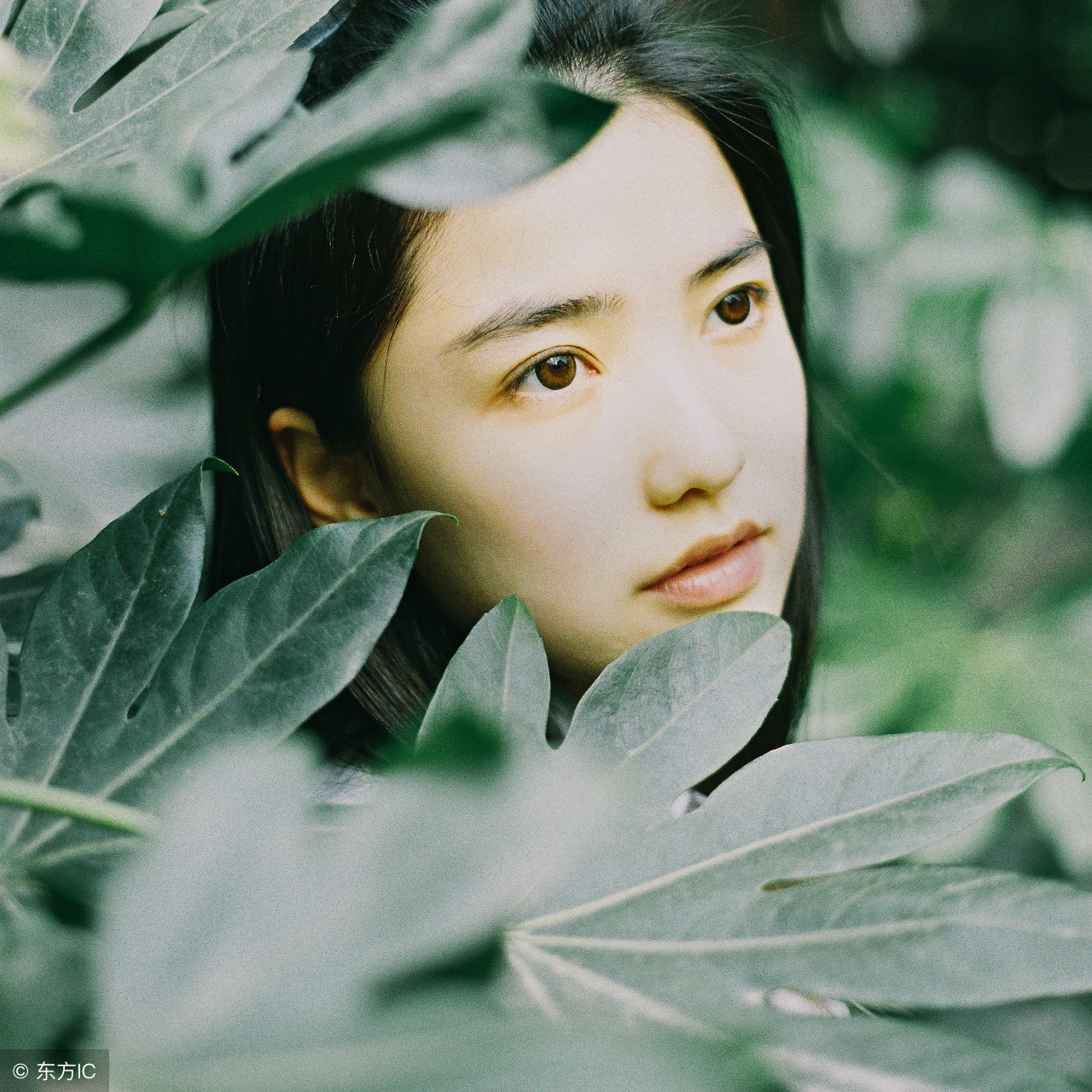 白芷可以祛斑美白吗知乎,白芷粉加什么祛斑美白补水啊