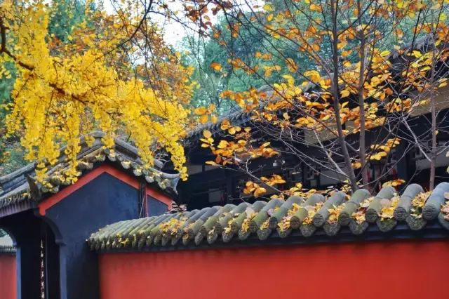 在成都市生活住哪个区比较好,在成都住一个月是租房还是住酒店