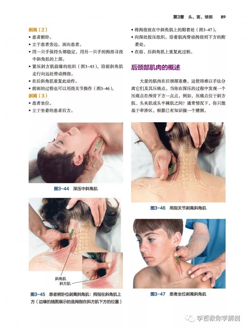 经典书籍百年之后还是经典---《基础临床按摩疗法》最新版来袭