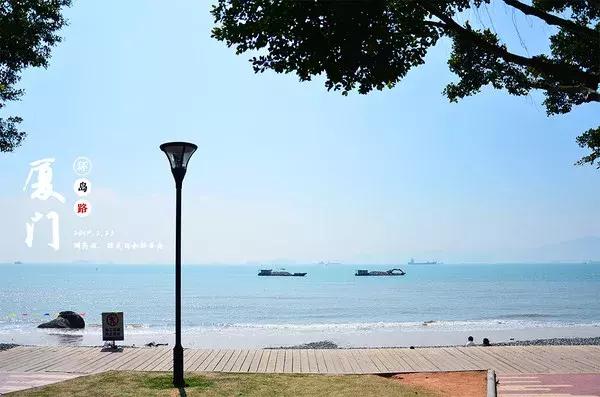 这个夏天总要来一趟浪漫的厦门,这个夏天再和你去一次厦门