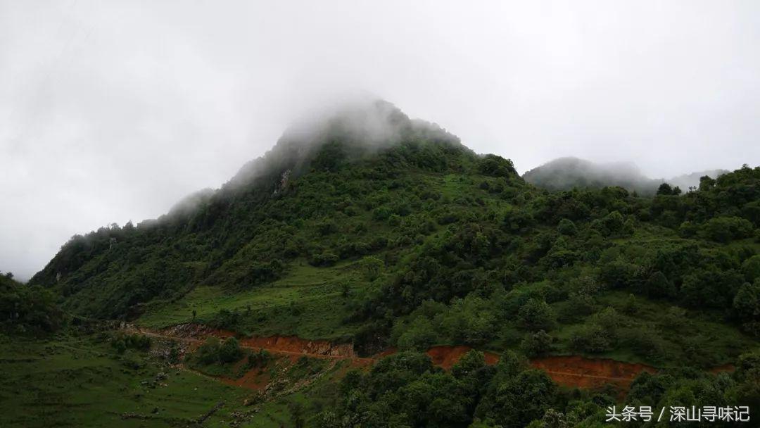 深山寻味｜远赴镇康，遇见一个不一样的木场乡