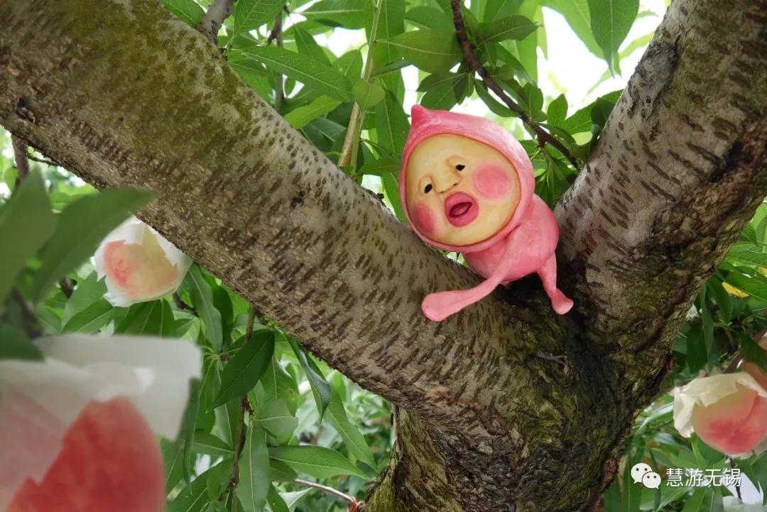 慧游君教你怎样有腔调的吃水蜜桃！