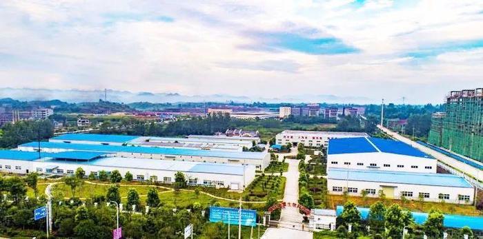 上游专访,酵素的本质有哪些