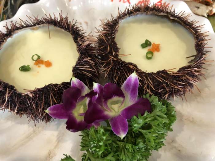 在三亚拍写真,三亚美食真实拍摄