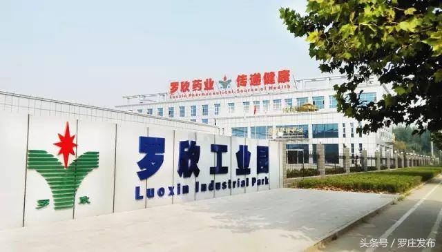 今年，罗庄这家企业预期销售收入将过百亿元！这源于······