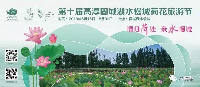 荷你有约金湖音乐节,荷你有约开学典礼