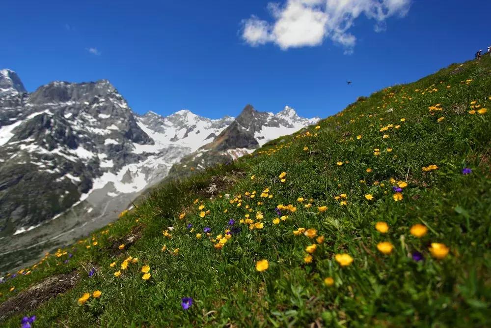 毕业旅行教程,打造自己疯狂的毕业旅行