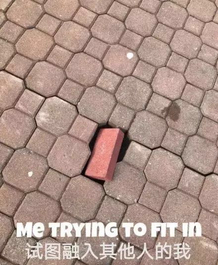 仲夏夜不想一个人，要怎样才能不孤单？在线等，挺急的