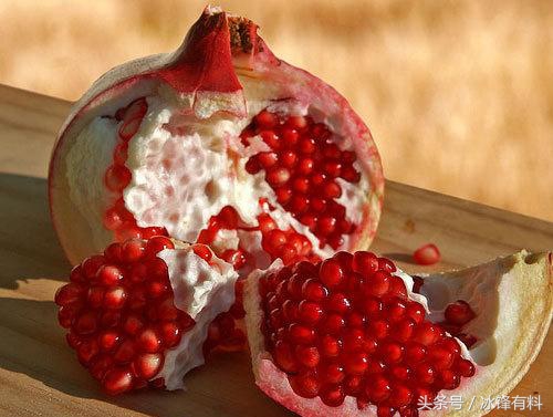 好奇古人找中草药,好奇古人怎么过假期