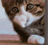 世界杯这么多赚钱的方式，你pick哪一个？