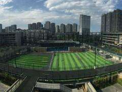 五人制室内足球世界杯,五人制足球世界杯比赛场地