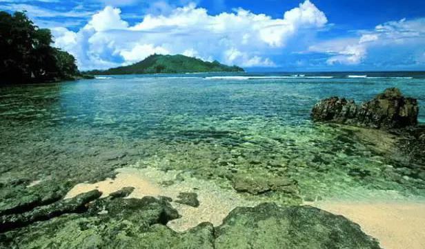 不能带的旅行纪念品,日本坑人的旅游纪念品