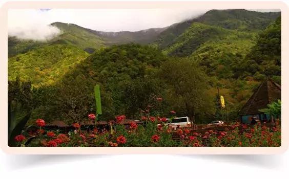 世界杯中国足球小组赛,中国世界杯赢的谁