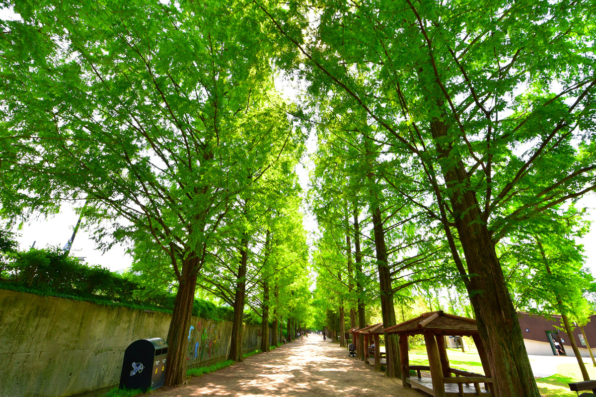 韩国排名第一的韩剧,韩国公认最好看的韩剧