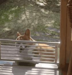 如何练出又直又细的大长腿,想要变成大长腿就要练这几个动作