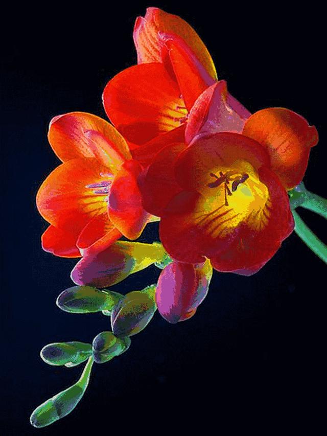 14张会动的照片,会动的照片大全大图