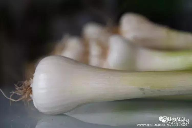 全球李氏祭祖大典隆尧,隆尧李氏恳亲大会直播视频