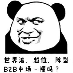 有什么可以打世界杯的足球游戏,足球游戏98世界杯