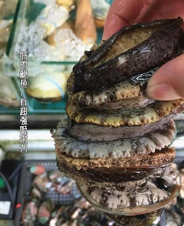 端午节吃什么海鲜比较好,端午海鲜如何选