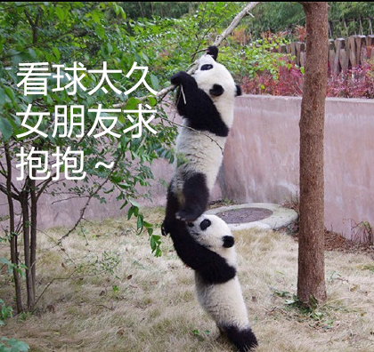 2018年世界杯中国出线概率,2018世界杯中国的最后一场