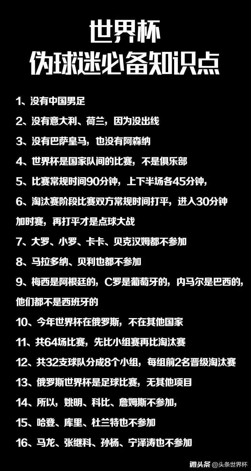 世界杯看球指南全集,球迷必备的世界杯看球指南
