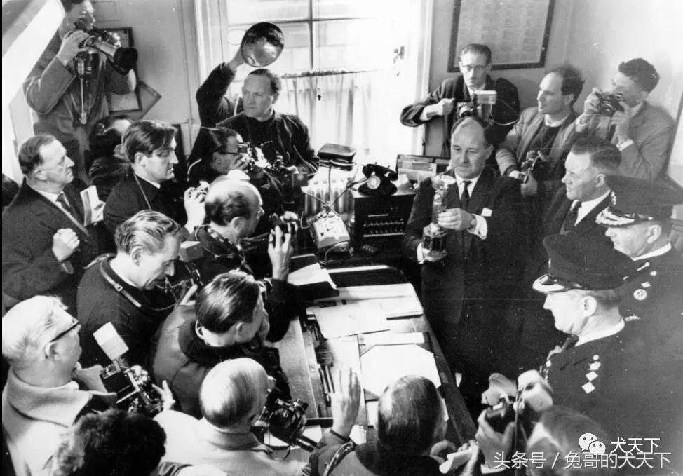 足球吉祥物狗狗盘点,一只狗狗拯救了无数人