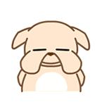 香港海关e道要被拆了”！可是代购都哭了