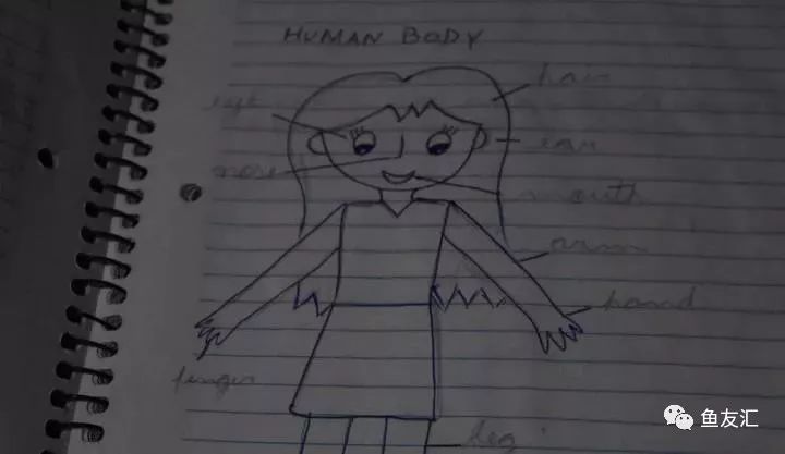 特隆贝塔如何饲养,特隆贝塔半皇与红彩区别