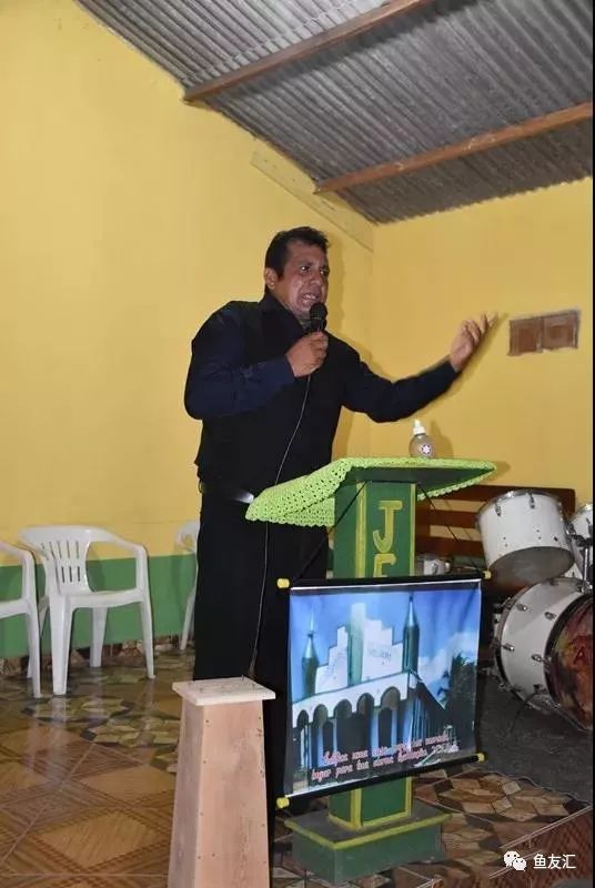 特隆贝塔如何饲养,特隆贝塔半皇与红彩区别