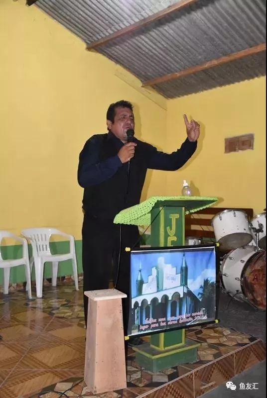 特隆贝塔如何饲养,特隆贝塔半皇与红彩区别