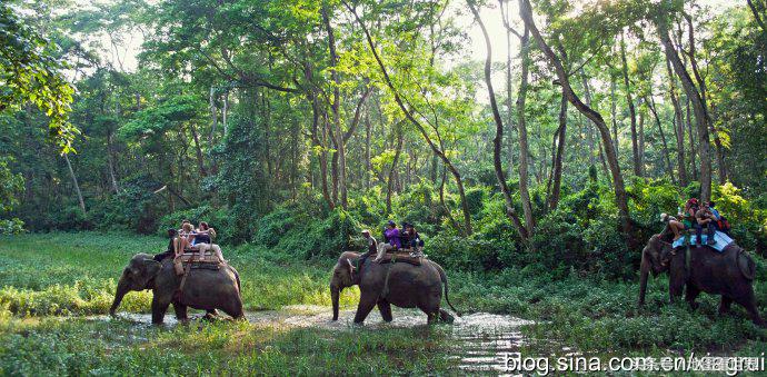 高山王国，千佛之国，佛教发源地，世界唯一非矩形*旗国**——尼泊尔