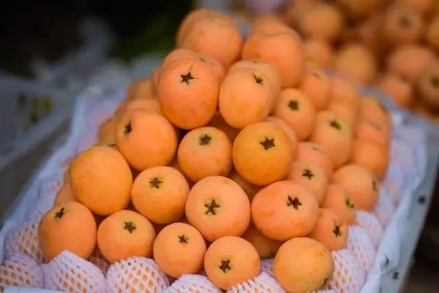 新华社攀枝花,新华社三亚