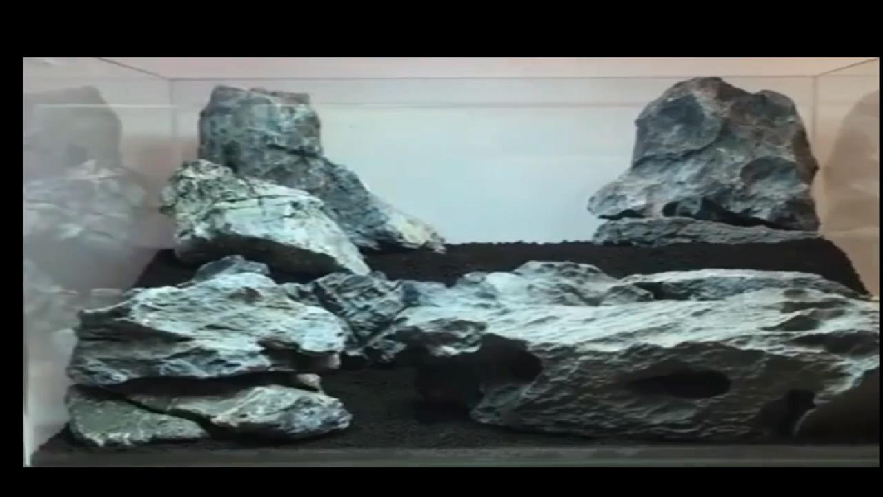 草缸造景以后加水很浑浊,鱼缸造景草缸教程步骤讲解