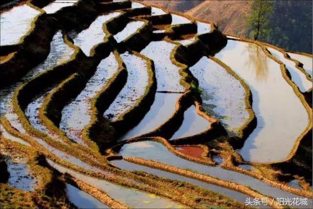 攀枝花周边一日游最佳路线,攀枝花周边有什么好玩的地方