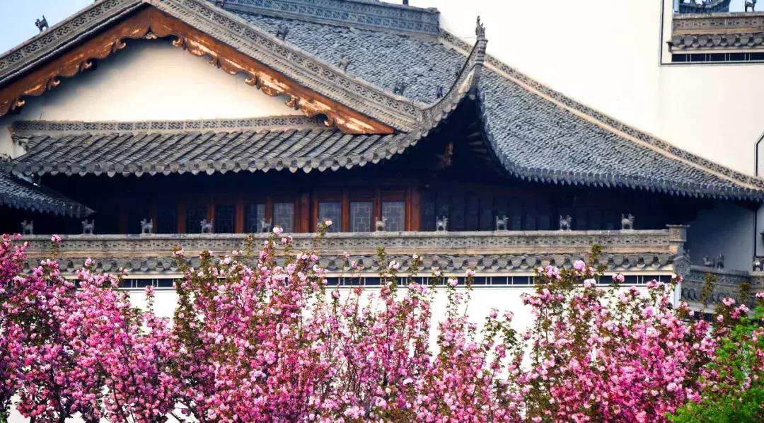 世界杯任意球大赛贝克汉姆,贝克汉姆罗纳尔多世界杯