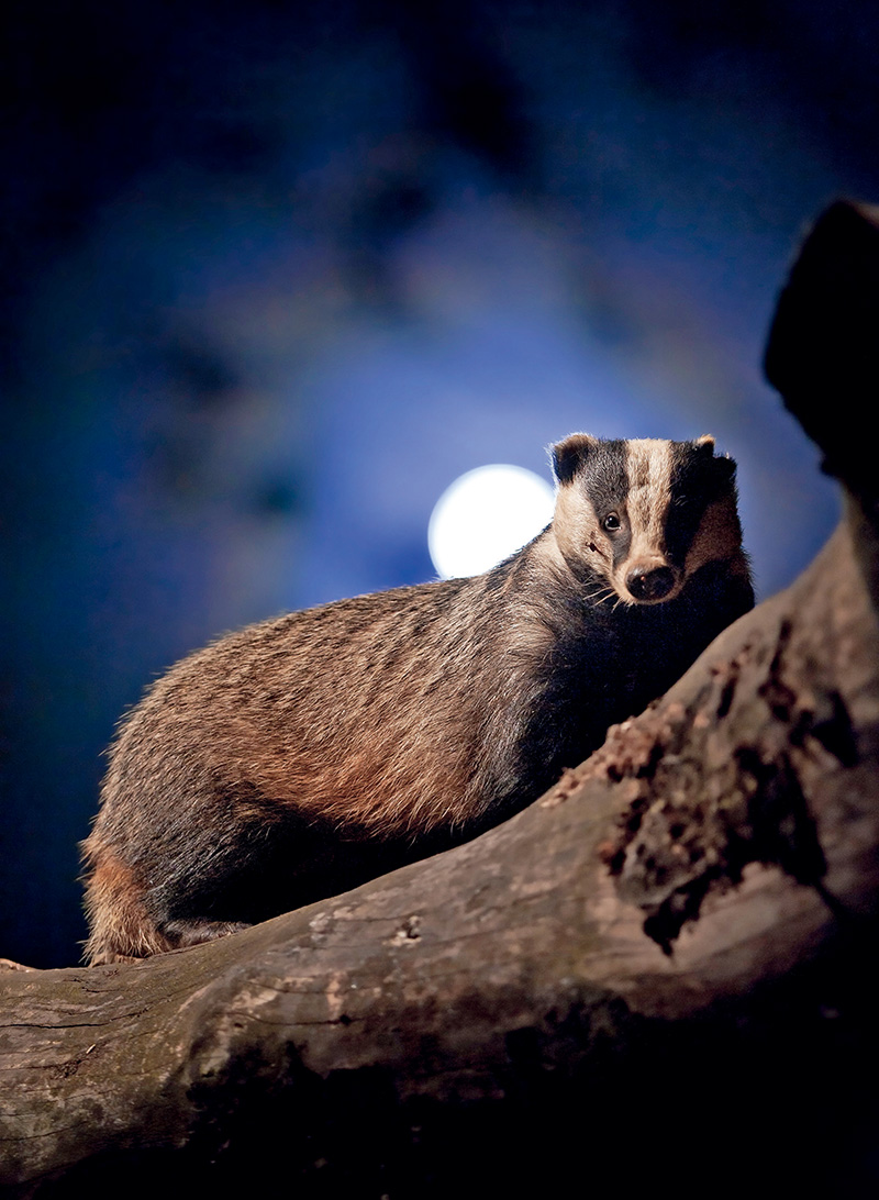 鎯犳儬鎽勫奖浣滃搧娆ｈ祻,鎯犳媿鎽勫奖