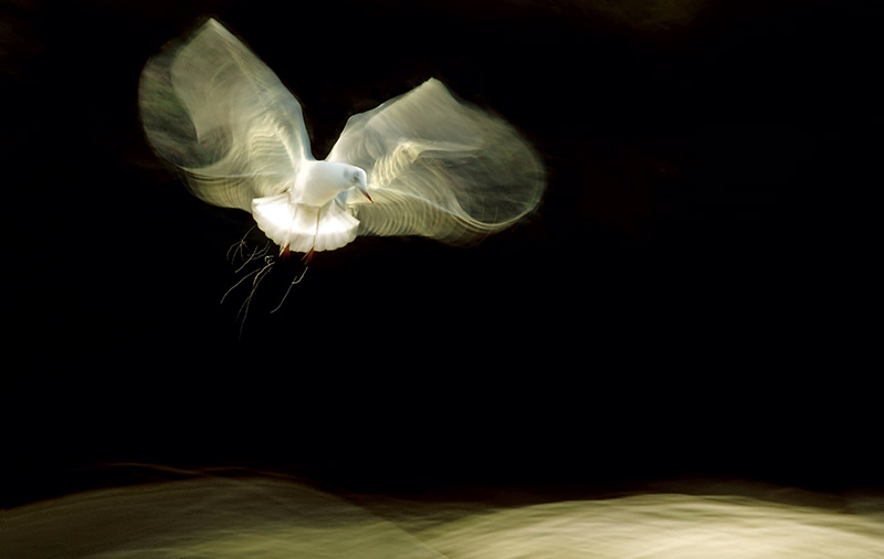 鎯犳儬鎽勫奖浣滃搧娆ｈ祻,鎯犳媿鎽勫奖