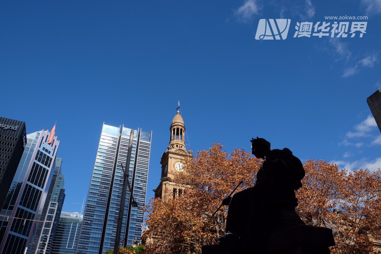 悉尼市发展规划,悉尼前瞻采访