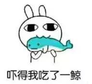 养殖10亿只蟑螂,四川成都蟑螂养殖基地