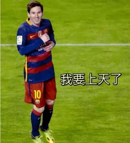 世界杯装蛋糕,世界杯装腔指南荷兰