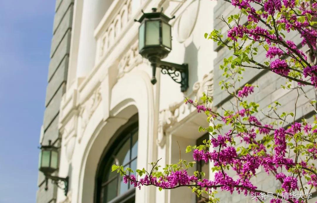 清华自招怎么参加,清华自主招生面试问题