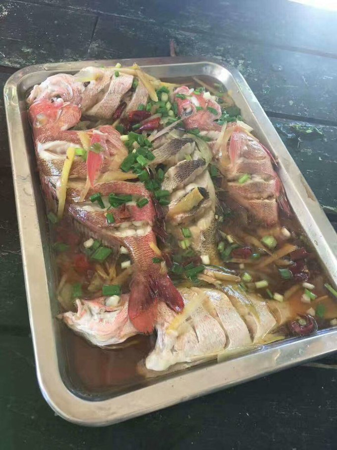 帕劳海底之旅,帕劳的海底