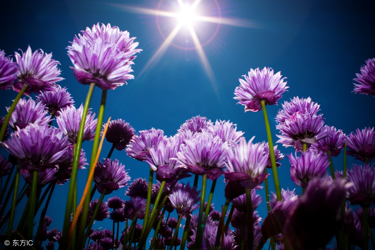 生活小常识收藏,各种实用的生活小常识